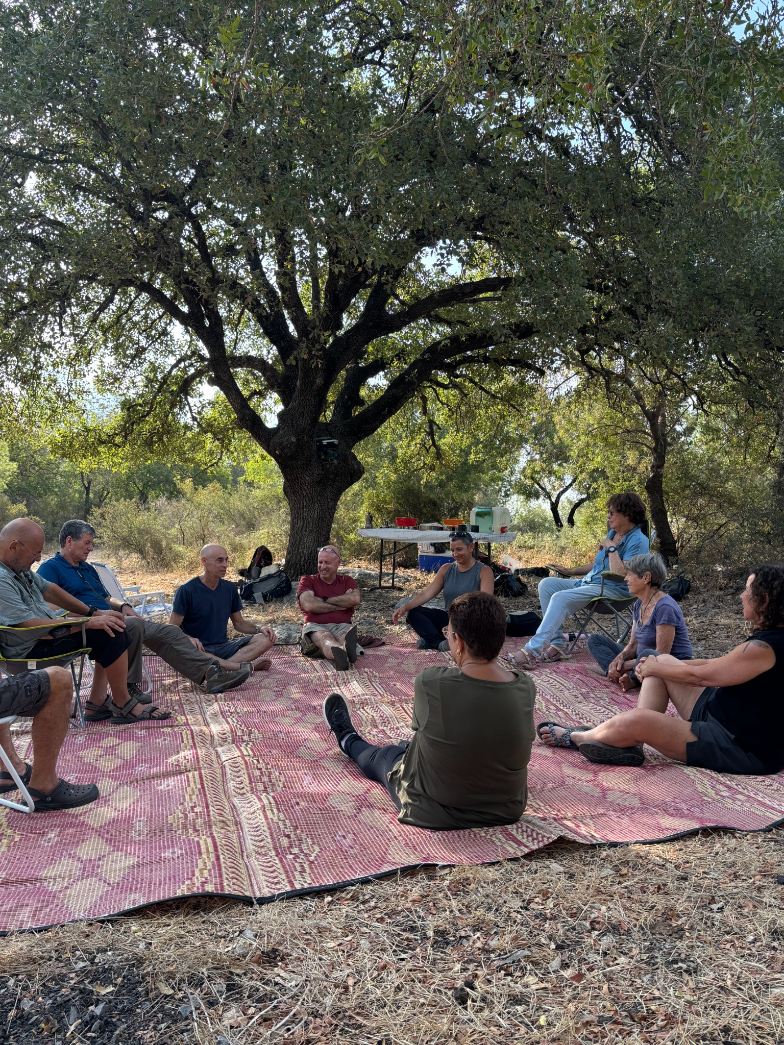 קבוצה יושבת במעגל על מחצלת וכיסאות מתחת לעץ רחב בטבע